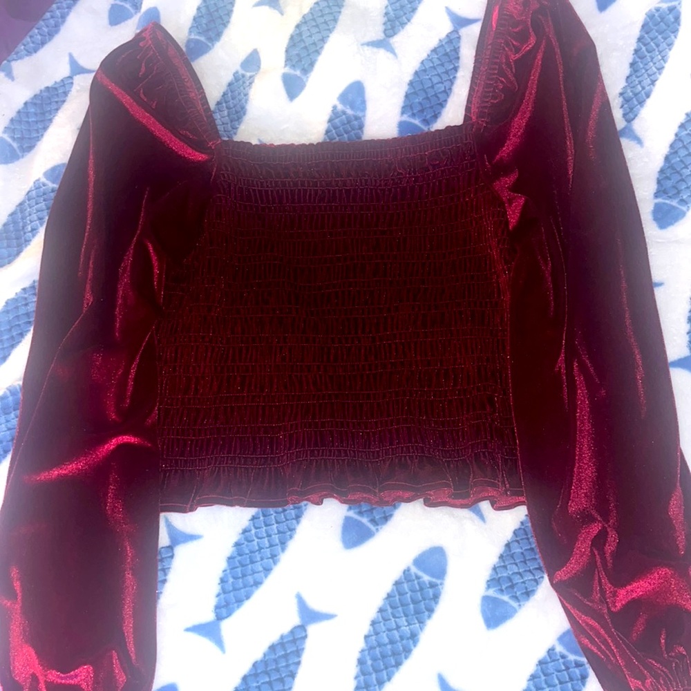 Never worn velvet red crop top